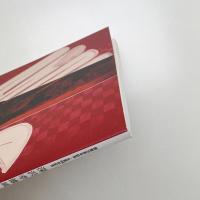 深沢幸雄展 彫版に依って歌う詩人