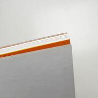 アートになった動物たち