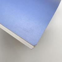 SOMETHING ELSE HARUKI: A New Vector for Art