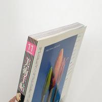 美術手帖　2004年11月号