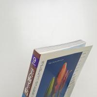 美術手帖　2004年9月号