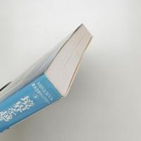 境界を越えるアメリカ演劇 オールタナティヴな演劇の理解