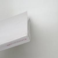 あいちトリエンナーレ2010 記録写真集