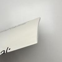 ラファエル・ローゼンダール: ジェネロシティ 寛容さの美学