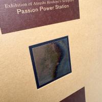 星野敦 情熱発電所