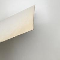 飯田善國展 chromatophilologia