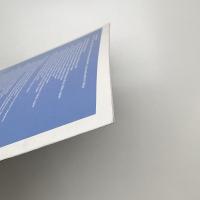 Wild Things: Where Masters of Ecstasy Are