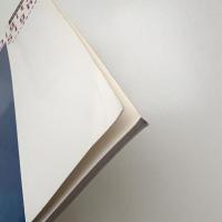 Digital Sight デジタル表現の可能性