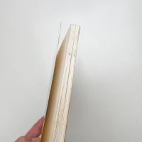 Interaction of Color