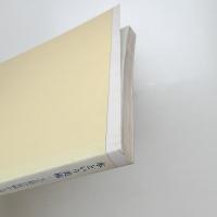 本という美術 大正期の装幀から現代のオブジェまで