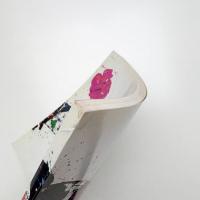 サム・フランシス展