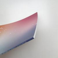 ヨコハマトリエンナーレ2020 AFTERGLOW 光の破片をつかまえる 記録集