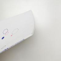 ヨコハマトリエンナーレ2017 島と星座とガラパゴス 記録集