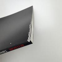 いばらきバイアニュアル・ディアロゴス1996 現代性の条件 記録集共