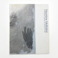 メディテーション 真昼の瞑想 90年代の日本の美術