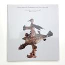 ヤン&エヴァ・シュヴァンクマイエル展 映画とその周辺