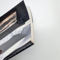 James Rosenquist: The Early Pictures