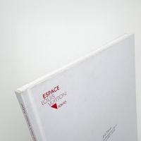 Jan Fabre: Tribute to Hieronymus Bosch in Congo 2011-2013