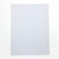 Jan Fabre: Tribute to Hieronymus Bosch in Congo 2011-2013