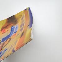 Catherine Yass: Portraits