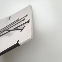 James Rosenquist: MONOCHROMES