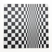 Bridget Riley: Paintings from the 1960s and 70s