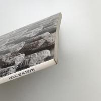 Magdalena Abakanowicz: Recent Works