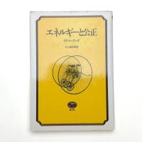 エネルギーと公正