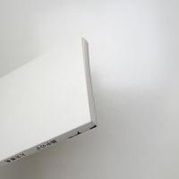 大岩雄典 渦中のP