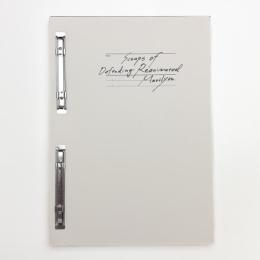 遠藤麻衣 Scraps of Defending Reanimated Marilyn