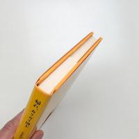 帰れ、カリガリ博士