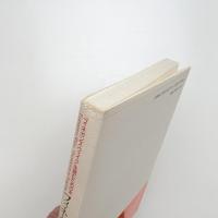 フィネガン辛航記 フィネガンズ・ウェイクを読むための本