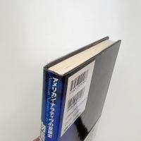 物語のゆらめき アメリカン・ナラティヴの意識史