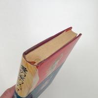 愛の家のスパイ