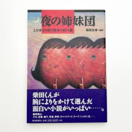 夜の姉妹団 とびきりの現代英米小説14篇