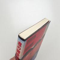 夜の姉妹団 とびきりの現代英米小説14篇