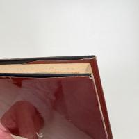 現代ロシア幻想小説