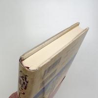 気晴らしのない王様