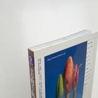 美術手帖　2004年9月号