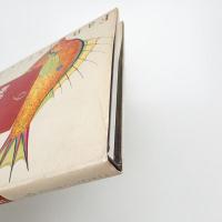 極楽の魚たち