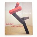 Joel Shapiro: Sculpture and Drawings