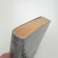 阿呆の王