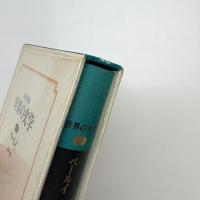 集英社版 世界の文学3 ベールイ