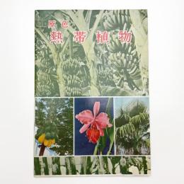 原色 熱帯植物
