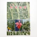 原色 熱帯植物