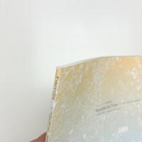 あいちトリエンナーレ地域展事業 Windshield Time わたしのフロントガラスから 現代美術 in 豊田
