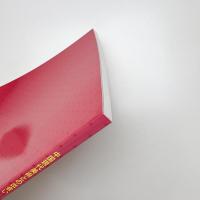 中国現代美術との出会い 日中当代美術にみる21世紀的未来