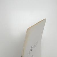 A.hūm 1981