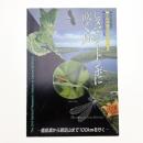 ヒヌマイトトンボに吹く風 鹿島灘から鶏足山まで100kmを行く