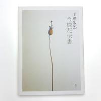 川瀬敏郎 今様花伝書